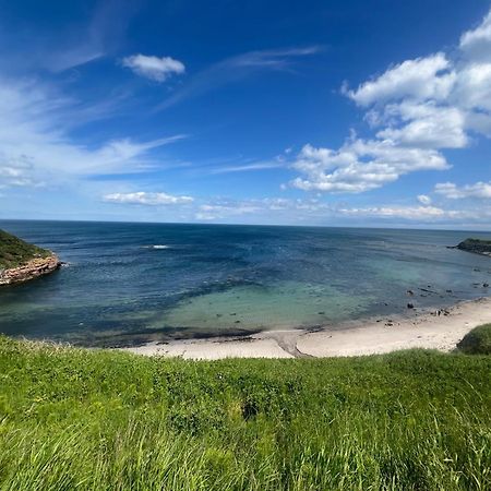 Berwick Holiday Park Haven Kültér fotó