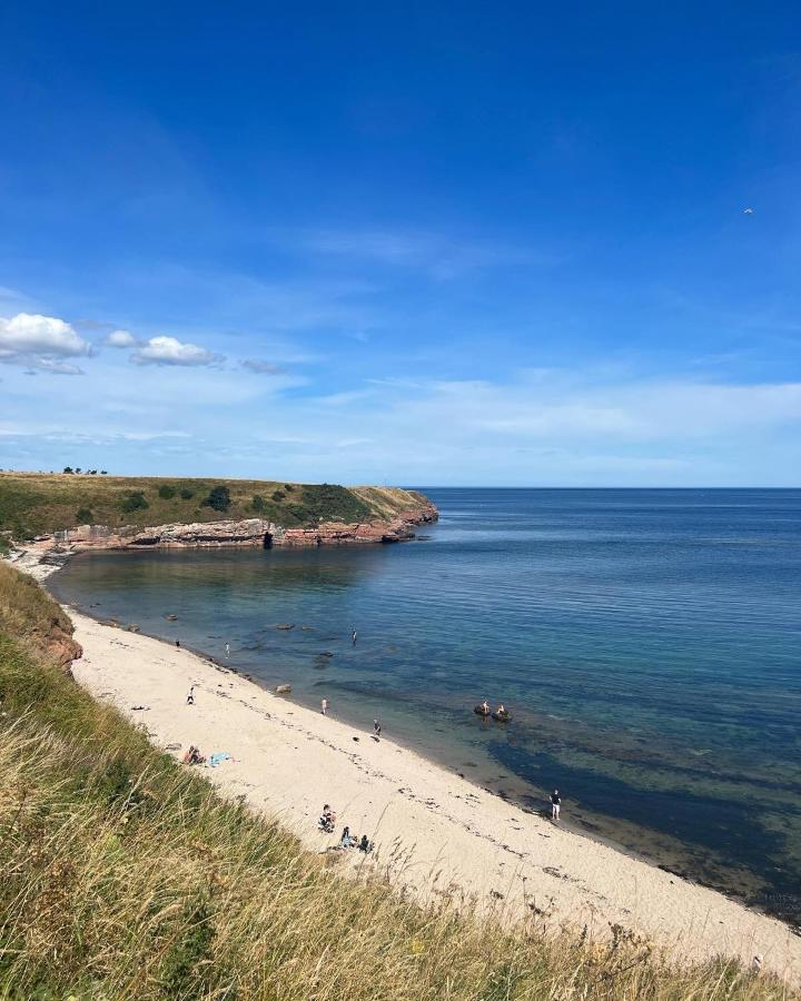 Berwick Holiday Park Haven Kültér fotó